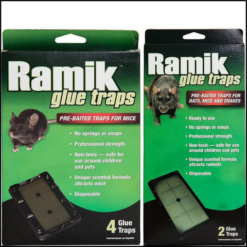 Ramik Glue Traps